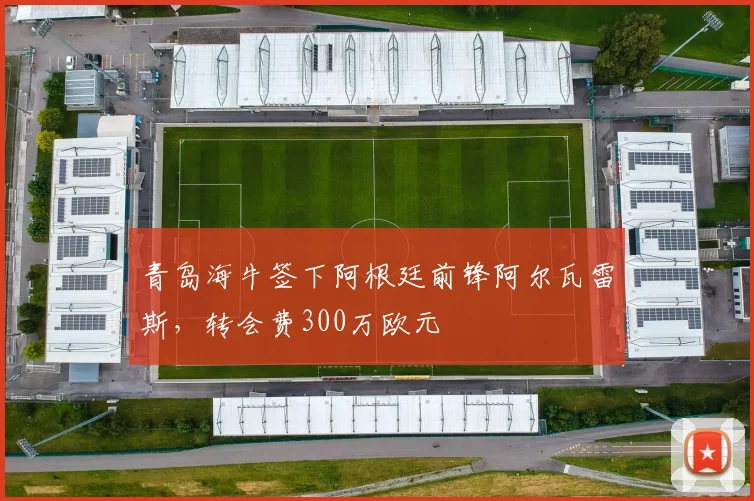 青岛海牛签下阿根廷前锋阿尔瓦雷斯，转会费300万欧元