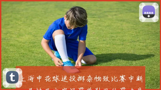 上海申花球迷投掷杂物致比赛中断，足协开出空场罚单引发处罚力度争议